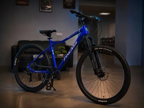 Горный велосипед MDS 084, 29", синий, общий вид